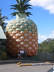 The Big Pineapple, Nambour, Queensland, Australia (1971)