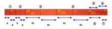 A diagram showing how a tanmono is cut into the pattern pieces for a kimono.