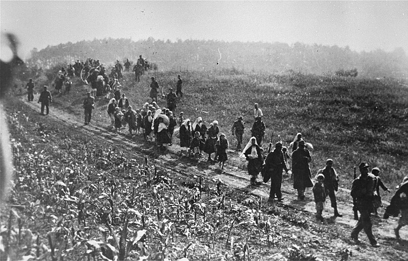 File:Šabac internment camp.jpg