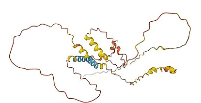 Figure 3. Predicted tertiary structure of human c12orf71.