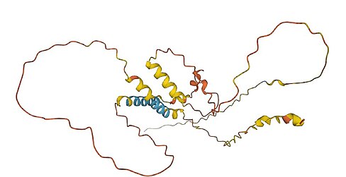 Figure 3. Predicted tertiary structure of human c12orf71.