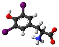 Ball-and-stick model of the diiodotyrosine molecule as a zwitterion