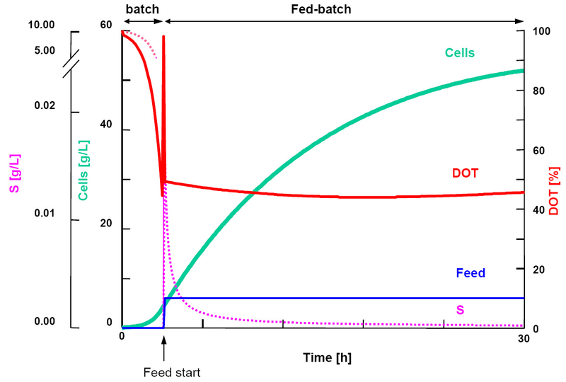 File:Fed batch principle.png