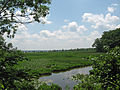 ‎Mason Neck National Wildlife Refuge