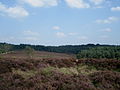 Site at the Mooker heath in Northern Limburg