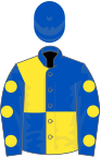 Royal blue and yellow (quartered), royal blue sleeves, yellow spots, royal blue cap