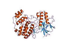 PDB 1w84 EBI.jpg