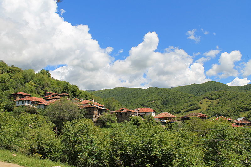 File:View from Kashina.jpg