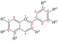 Structure of anthocyanins, the blue pigments in blueberries.[13]