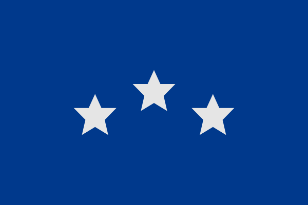 Файл:Bandera de Ameghino.svg