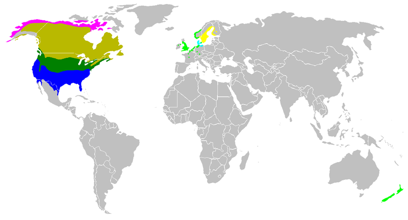 Archivo:Branta canadensis map.png