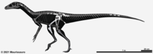 Restoration