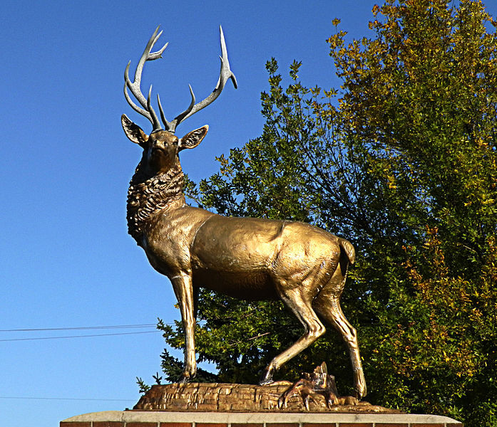 File:Elk1901.jpg