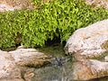 Fountain of Gorakh Hill or Hengar Spring