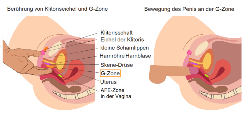 File:G-Zone 1.png