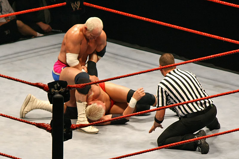 File:Holly-armbar-on-Kennedy,-RLA-Melb-10.11.2007.jpg