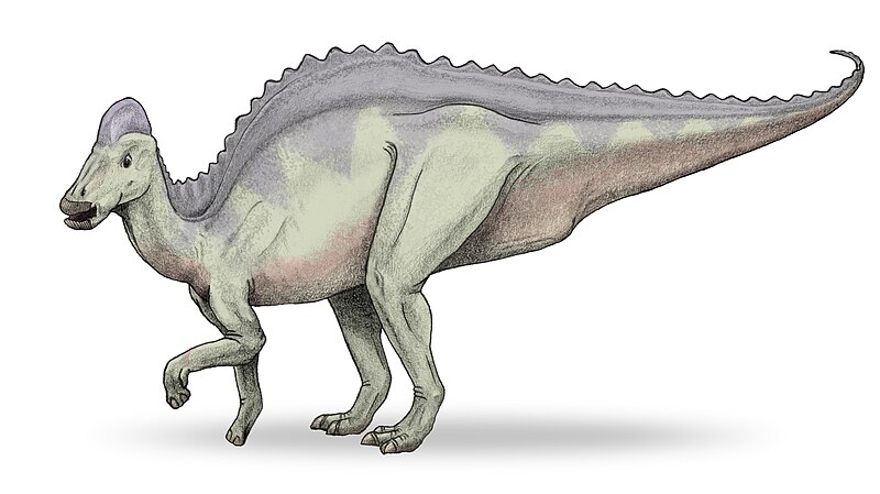 File:Hypacrosaurus-v2.jpg