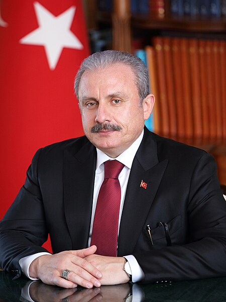 File:Mustafa Şentop (cropped 2).jpg