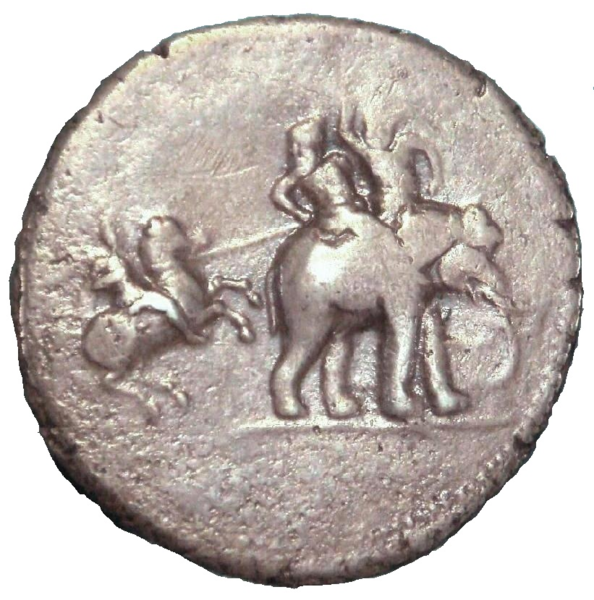 File:Porus alexander coin.png