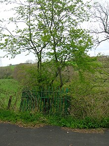 Trysting Tree - Millmannoch.JPG