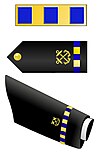 U.S. Navy Chief Warrant Officer 2 Rank Insignia