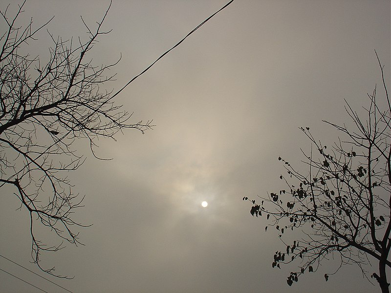 File:Winter Morning.JPG