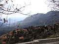 At Arachova looking down the valley