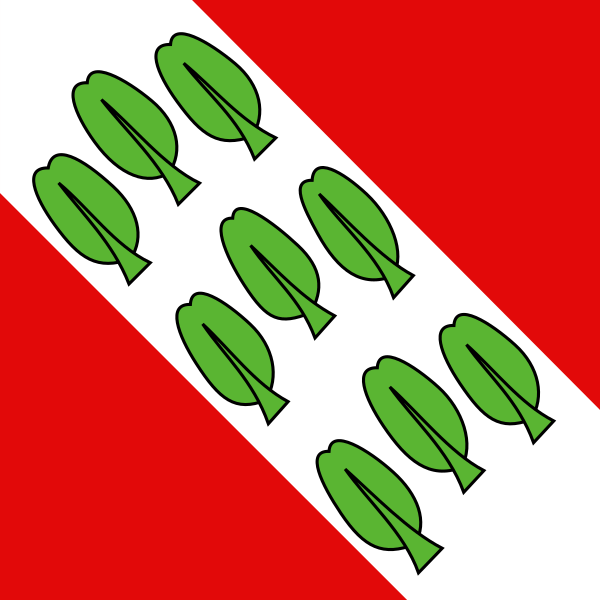 File:CHE Münchenbuchsee Flag.svg