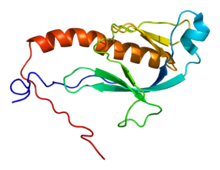 Protein DOCK9 PDB 1wg7.png