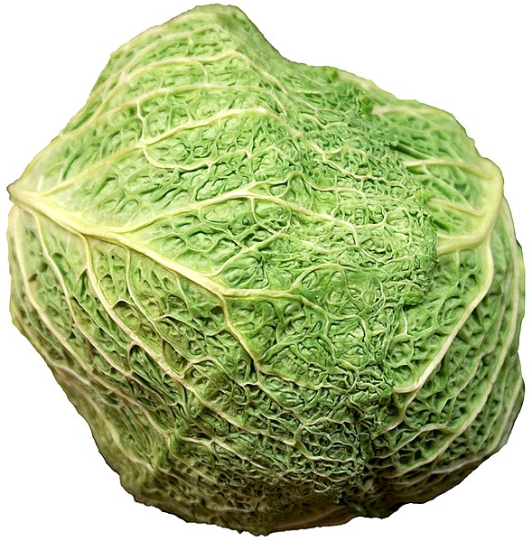 File:Savoy cabbage.jpg