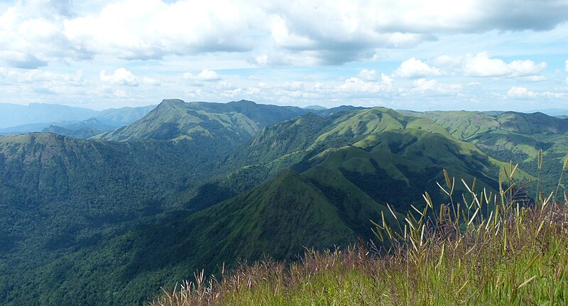 File:Shola forests.jpg