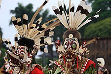 Hudoq wooden mask from Central Kalimantan