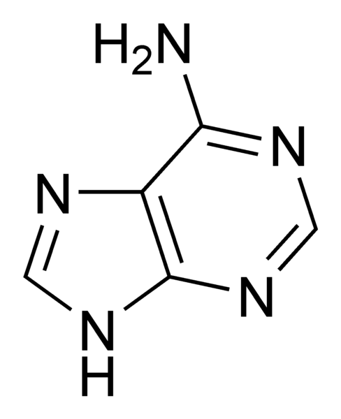 File:Adenine chemical structure.png