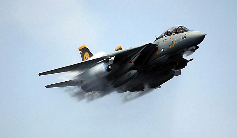 File:F-14 Tomcat VF-31 2006.jpg