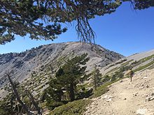 Looking Northwest at Baldy Summit from Baldy Bowl