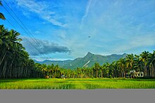 The Cherumb eco-tourism village at Karuvarakundu