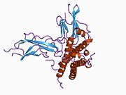 1a22: HUMAN GROWTH HORMONE BOUND TO SINGLE RECEPTOR