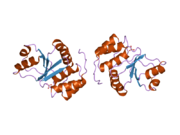 1zcl: prl-1 c104s mutant in complex with sulfate