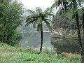 Upriver near Jerusalem, (Hiruharama)