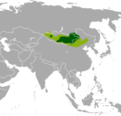 Distribución histórica (verde claro) y actual (verde oscuro).