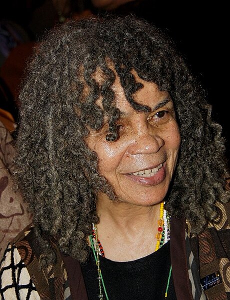 Archivo:Sonia Sanchez braids (46604500534).jpg