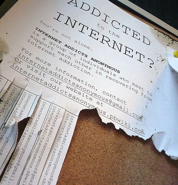 File:Addicted to the Internet.jpg