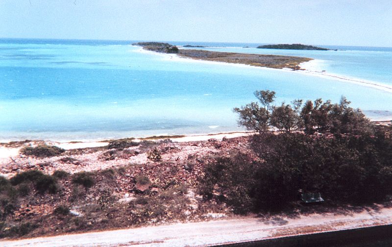 File:Bush Long Key.jpg