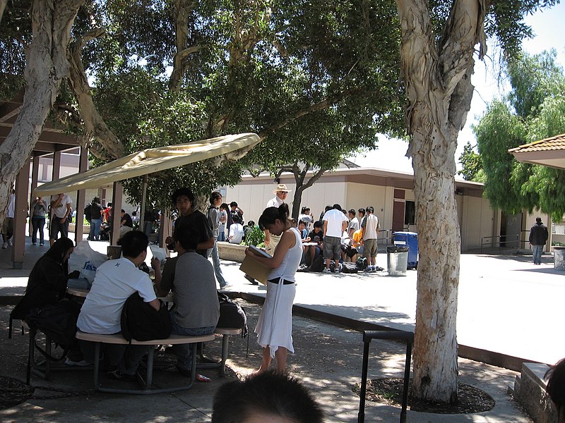 File:CHSstudentseatinglunch.jpg