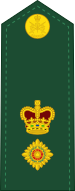 File:Canadian Army OF-4.svg