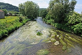 The Chiers River in Charency-Vezin