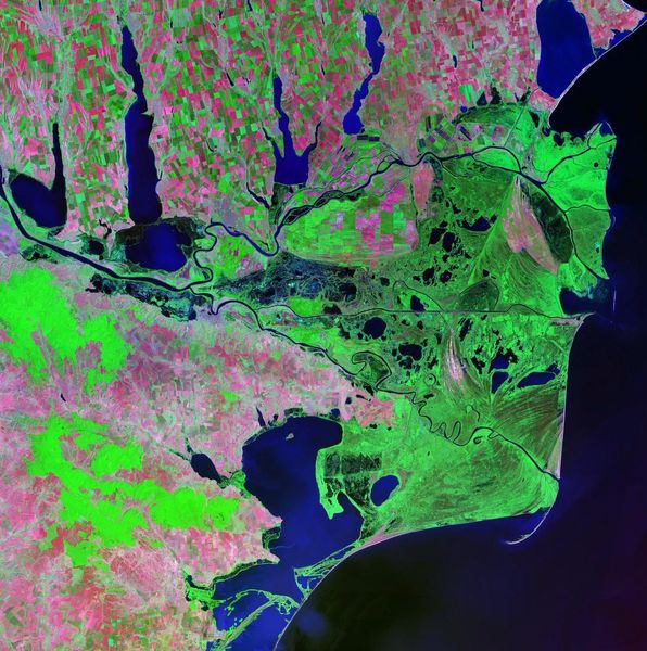 Archivo:Danube delta Landsat 2000.jpeg