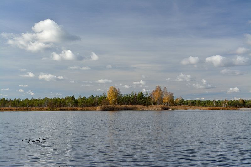 Файл:Kurtna Suurjärv.jpg