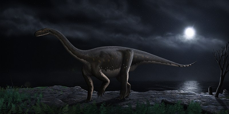 Файл:Melanorosaurus readi steveoc.jpg