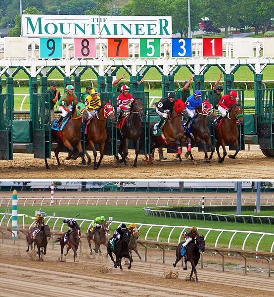 File:Mountaineer Park horses.jpg